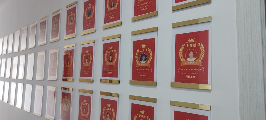 河北政易教育校区环境图