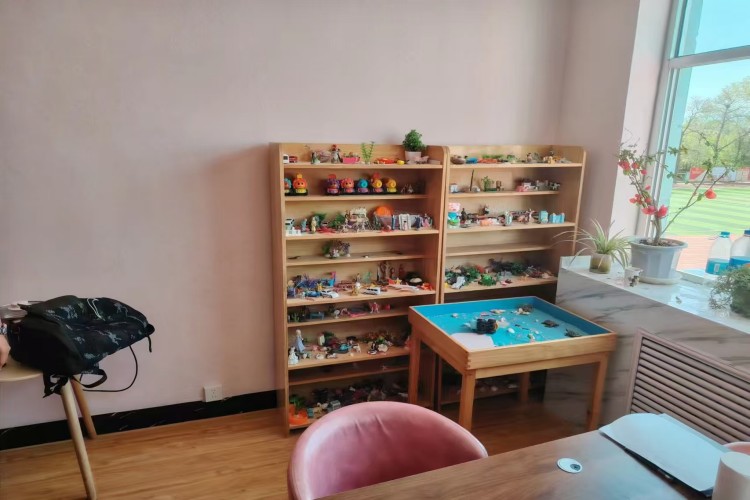 甘肃冠中特训营校区环境图片