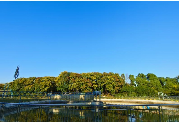 湖北楚安素质教育