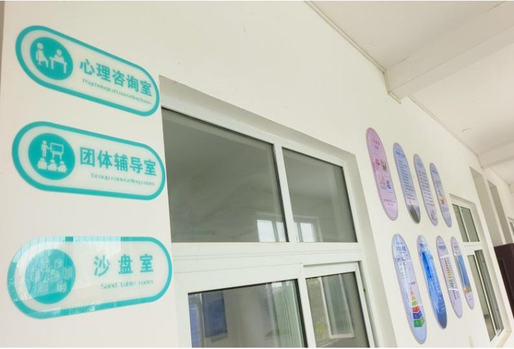 湖北楚安素质教育