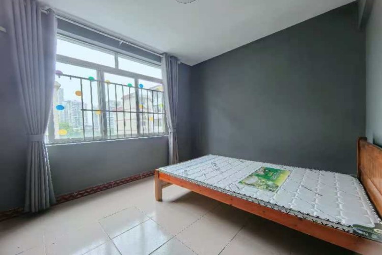 南宁派多格宠物美容培训