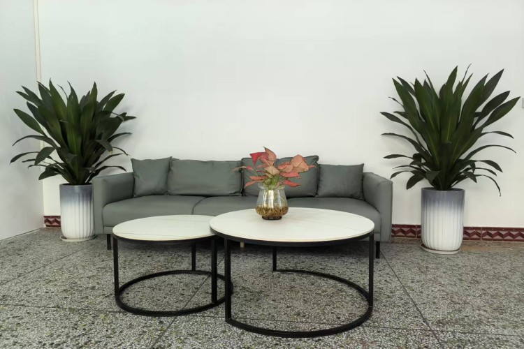 南宁派多格宠物美容培训