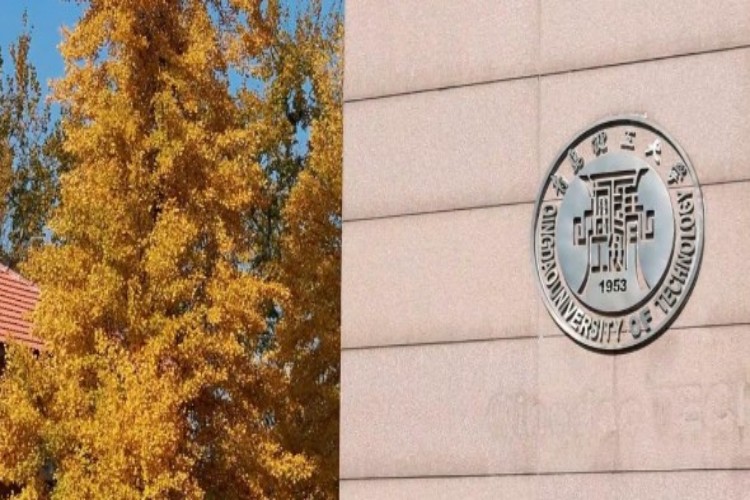 青岛知衡数字技术培训