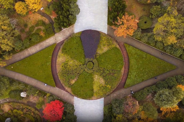 青岛知衡数字技术培训