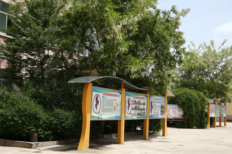 甘肃砺变青少年素质拓展基地校区环境图片