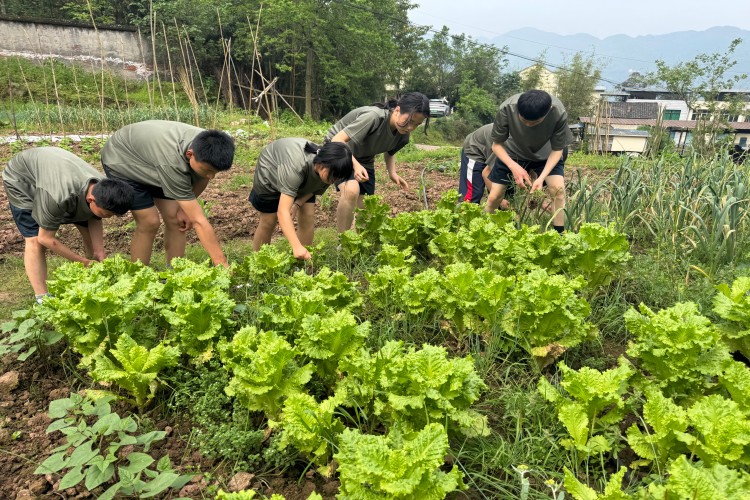 重庆桃园武术学校环境图