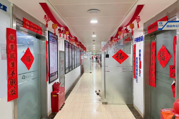 河南AI芯源互联科技校区环境图片