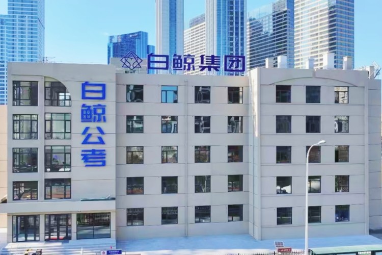 大连白鲸公考环境图