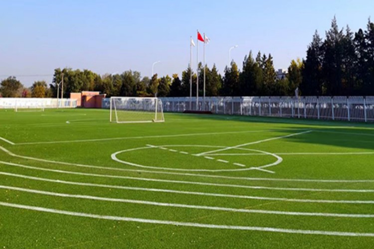 北京力迈星元学校
