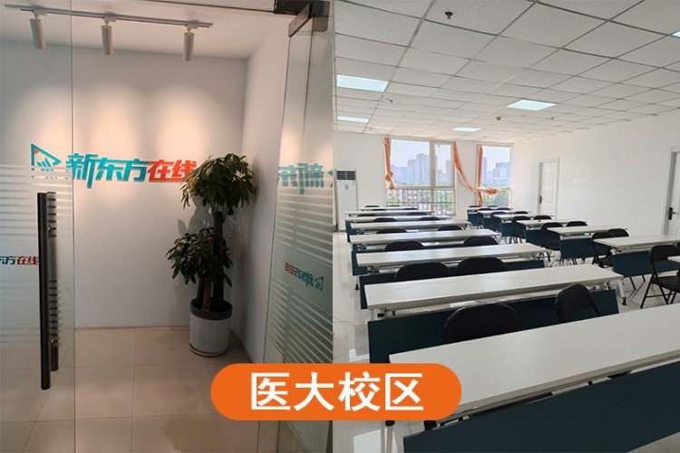 河北顶程考研