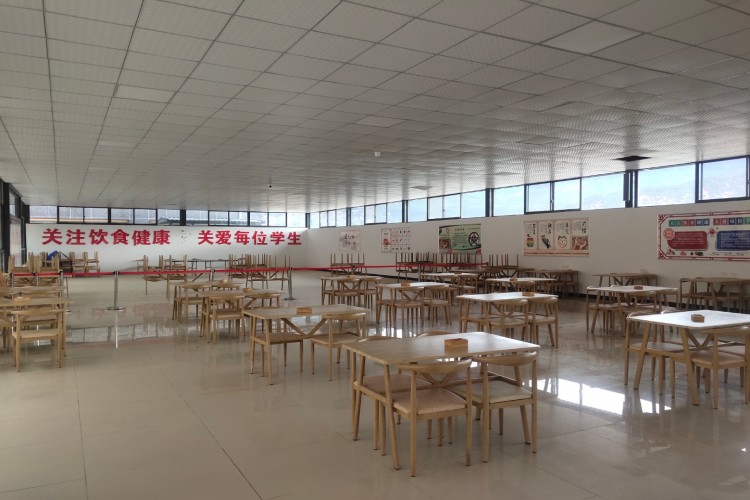 西藏卓益教育环境图