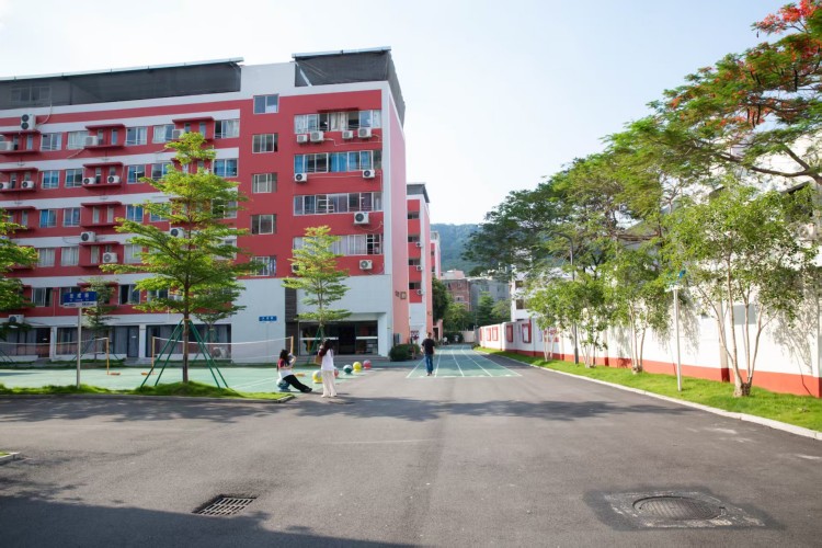 黄师中高考学校环境图
