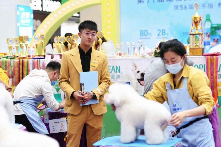 成都其乐翼搏宠美培训环境图
