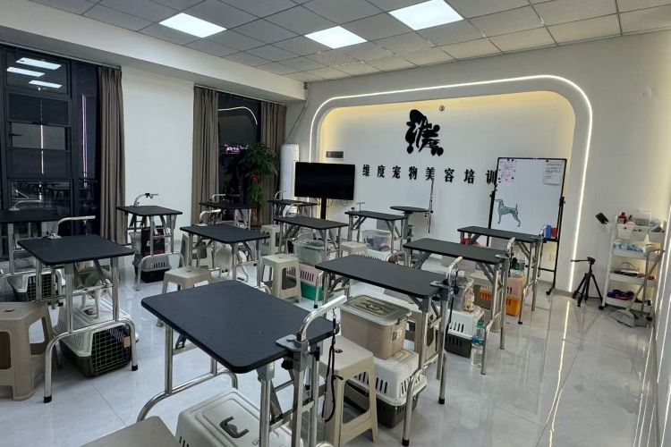 南昌维度宠物美容培训学校校区环境图