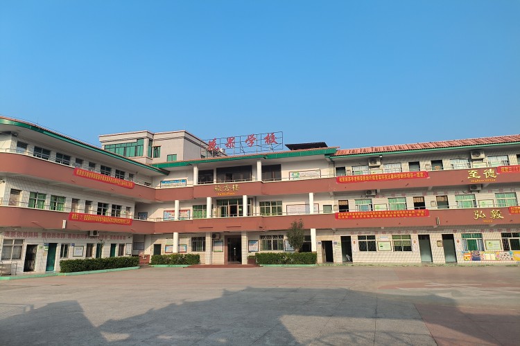 花果小学砺志成长班环境图