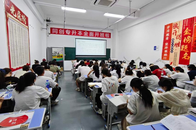 甘肃同创专升本环境图