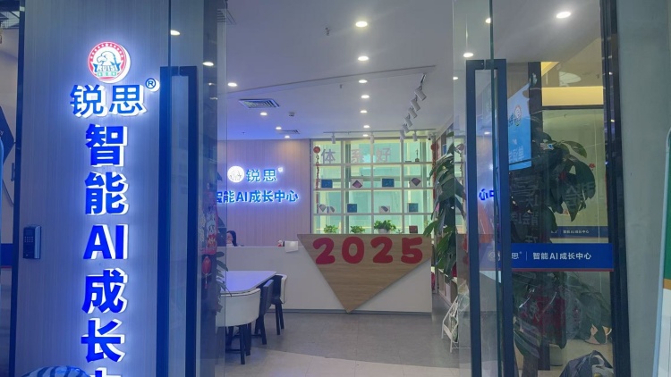 深圳锐思教育