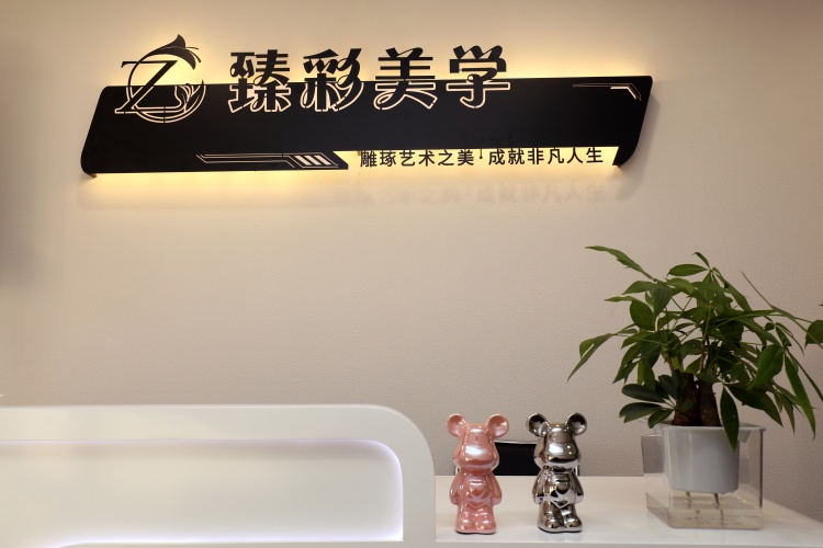 天津臻彩美学职业培训学校