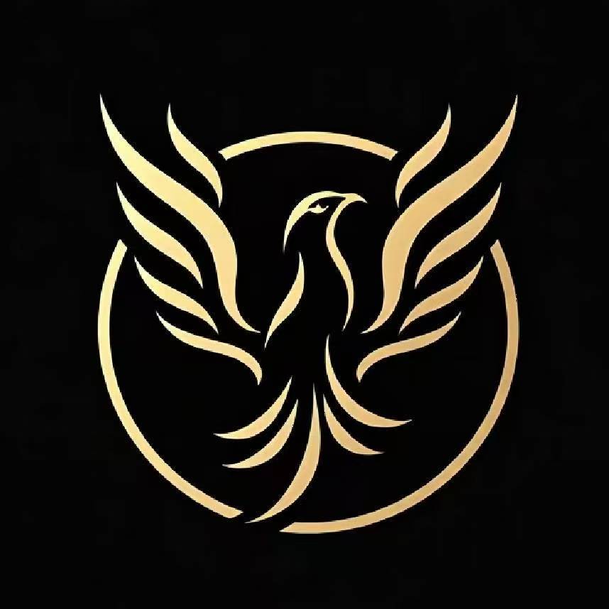 南京重明鸟无人机