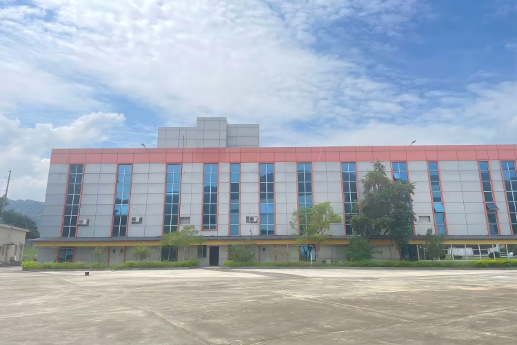 广东战龙青少年素质教育