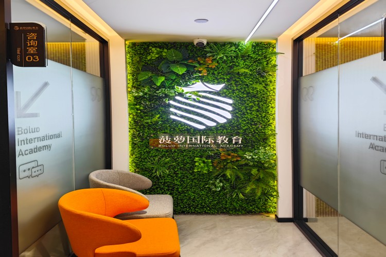 上海菠萝国际教育