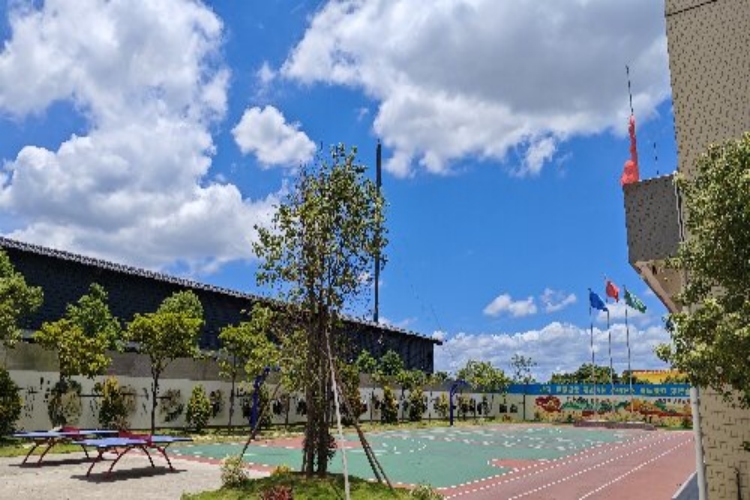 七彩凤凰·润泽青少年特训学校