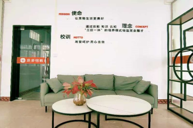 南宁派多格宠物美容培训