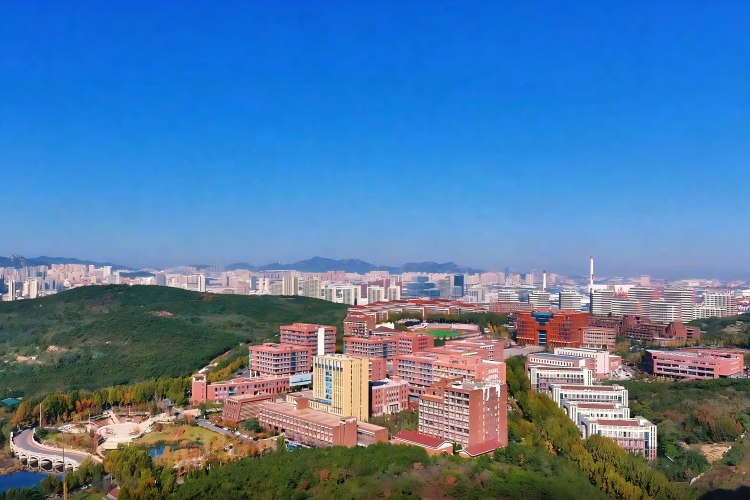 青岛知衡数字技术培训