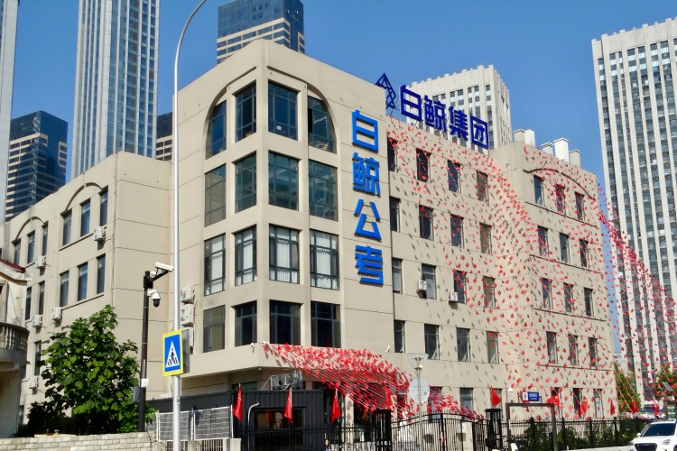 大连白鲸公考