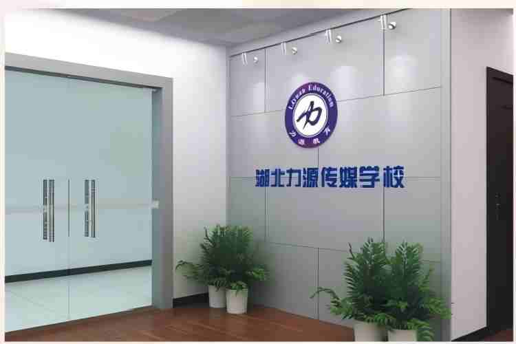 湖北力源传媒学校